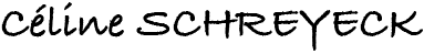 Biographie de l'Auteur